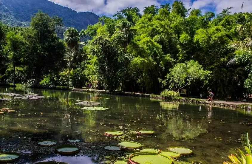 lagoa cercada de arvores em Parque Nacional da Tijuca, um dos parques no rio de janeiro