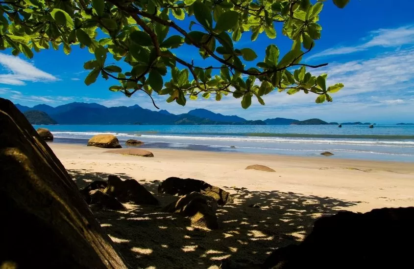 árvores, areia e mar de praia em Ubatuba, um ótimo lugar para viagem pelo litoral brasileiro