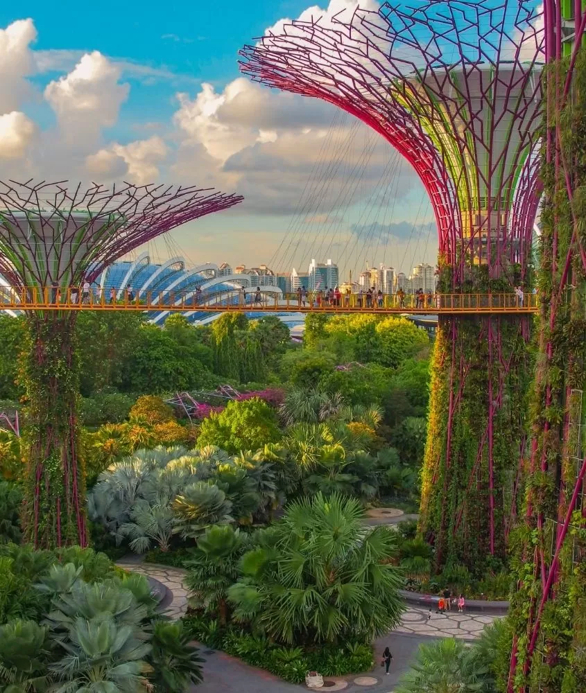 super árvores falsas em garden by the bay, um jardim que é uma das principais atrações de singapura, um dos lugares mais caros do mundo para viajar