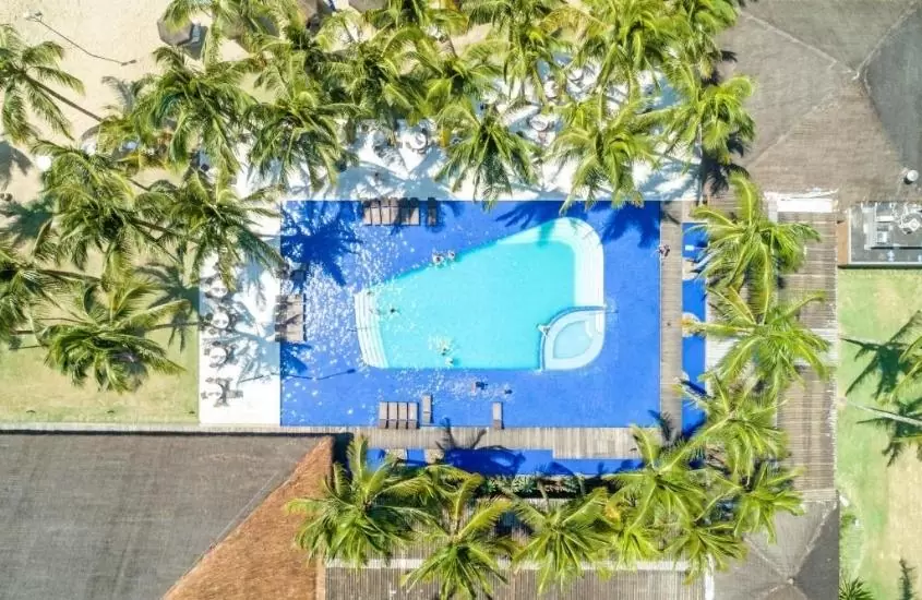 vista aérea da piscina entre coqueiros, durante dia ensolrado em ilha grande