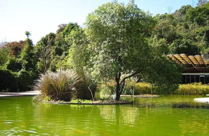 lagoa rodeada de árvores, durante o dia, em parque das mangabeiras que é um dos melhores passeios em belo horizonte