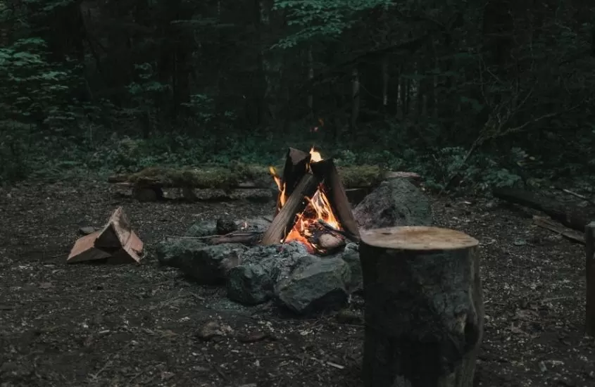 fogueira no meio da floresta