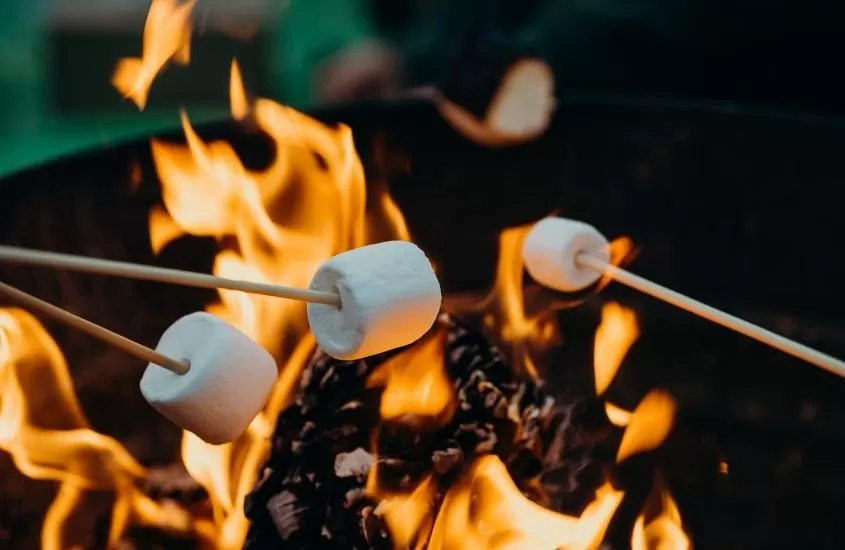 marshmallows assando em fogueira