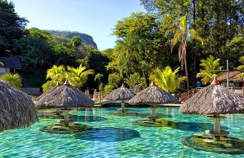 bancos e mesas em bar piscina, cercado de árvores, durante dia ensolarado em hot park, um parque aquático em goiás