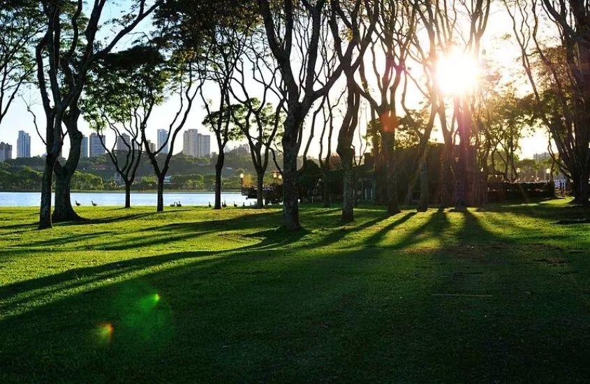 vista panorâmica de gramado e árvores de frente para lago em parque barigui, um ótimo lugar para incluir no roteiro curitiba