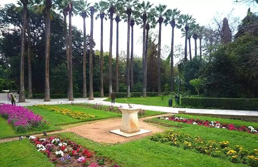 plantas, flores e árvores, durante o dia, em Jardim Nacional, uma atração para quem procura o que fazer em atenas grécia