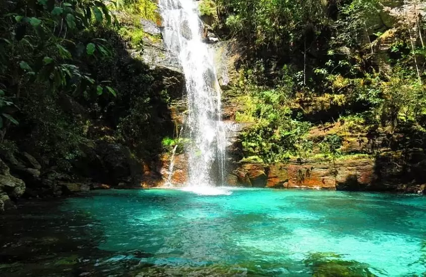 queda d'água de cachoeira cercada de árvores e poço de água cristalina em complexo turístico kalunga,um dos melhores passeios na chapada dos veadeiros