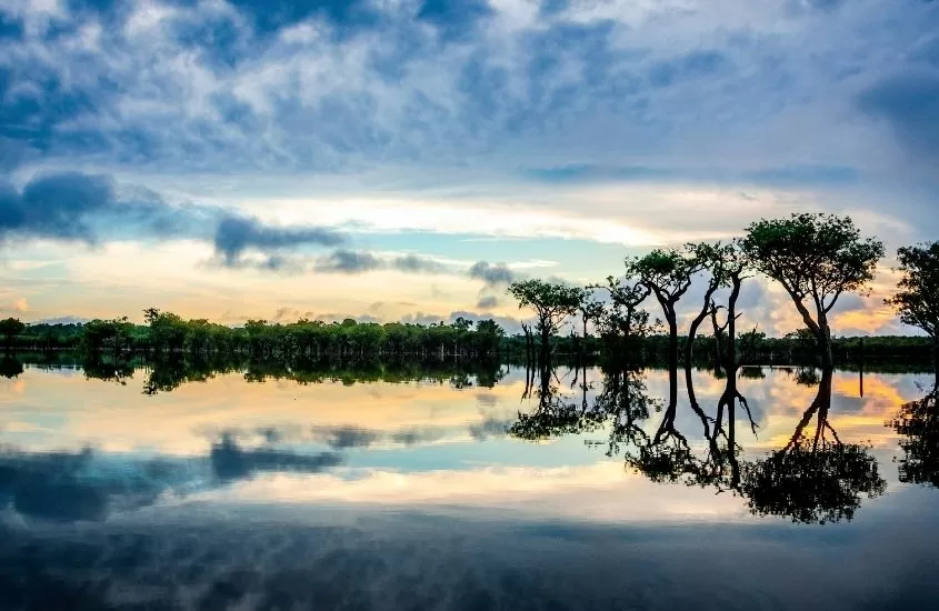 vista panorâmica de rio cercado de árvores, durante entardecer na amazônia