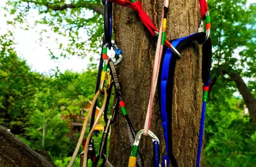 cordas amarradas em árvore em engenhoca parque, um lugar para quem busca o que fazer em aquiraz