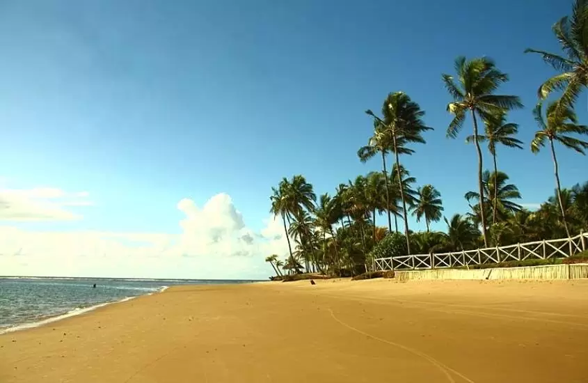 coqueiros e areia em frente ao mar em praia de taipu de fora, durante o dia