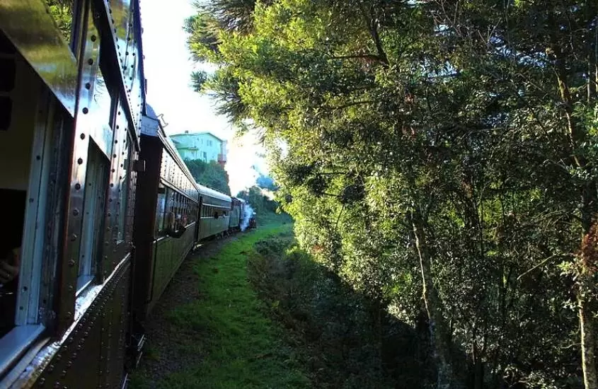 trem passando em trilho cercado de árvores, durante o dia