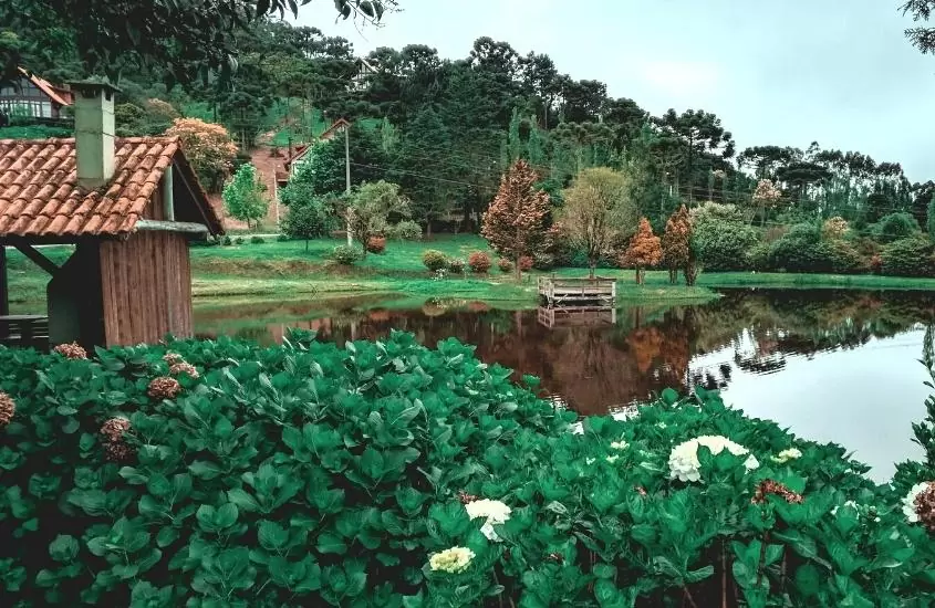 lago cercado de árvores durante o dia em urubici, um destino para o turismo em santa catarina