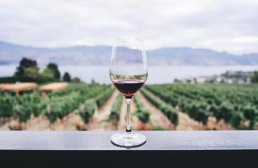 durante o dia, taça de vidro com vinho, em cima de madeira de varanda com vista para vinhedo