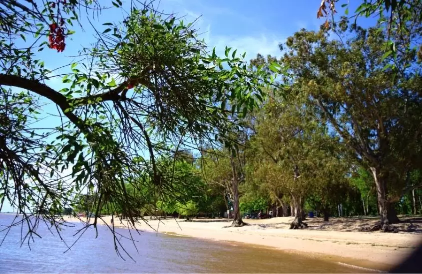 durante o dia, árvores em areia em frente a rio, em carmelo, opção para quem busca o que fazer no uruguai