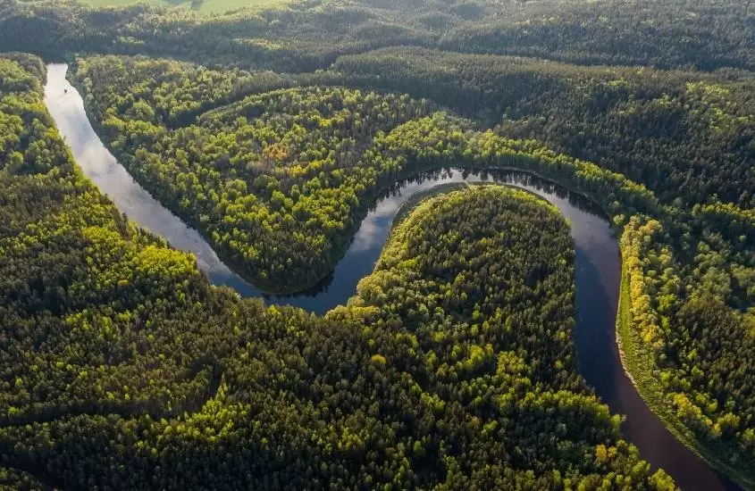 vista aérea de rio cercado de árvores em amazônia, durante o dia