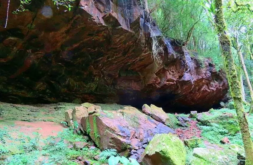 rocha cercada por árvores em área de caverna rio dos bugres, atração para quem busca o que fazer em urubici sc
