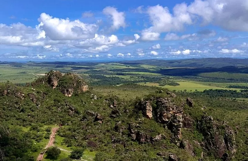 vista aérea de vegetação e montanhas, durante o dia