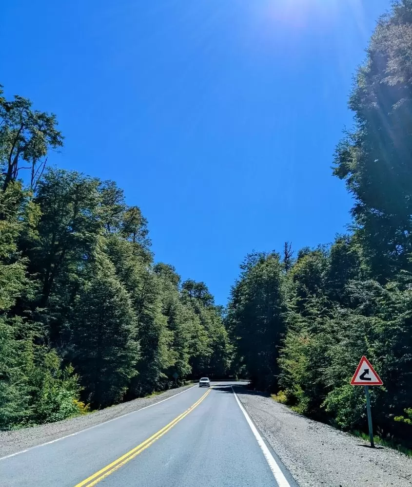 carro em estrada cercada por árvores, durante o dia em um dos melhores destinos na argentina