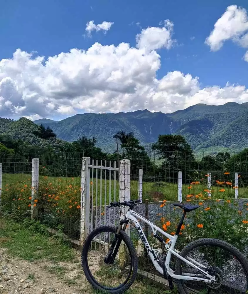 bicicleta encostada em grade de jardim florido, e ao fundo montanhas, durante o dia em joinville