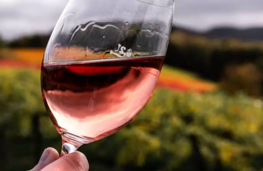 durante o dia, taça de vidro cheia de vinho rosé, e vinhedo ao fundo, em uma das vinícolas na serra catarinense