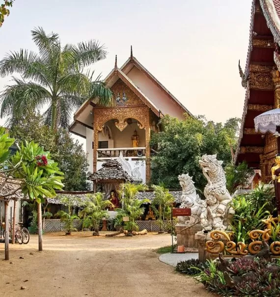 durante o dia, árvores espalhadas em frente a templos tailandes dourados