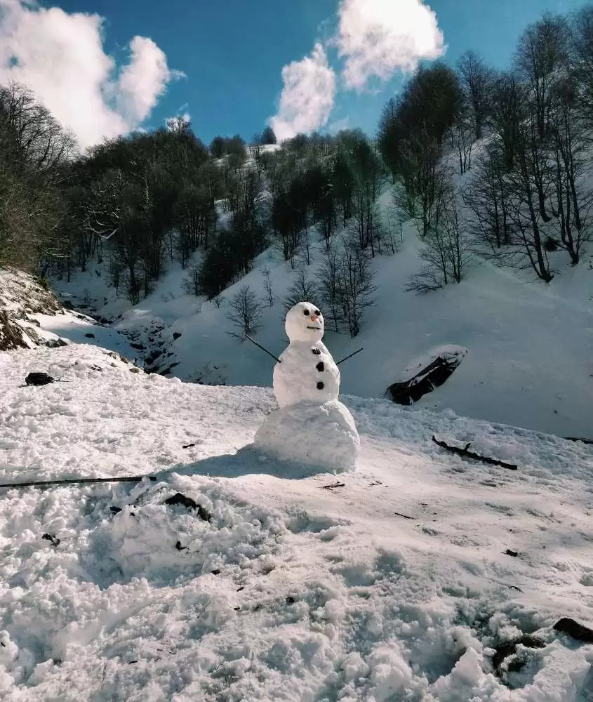 durante o dia, boneco de neve em montanha cheia de árvores, cobertas de neve