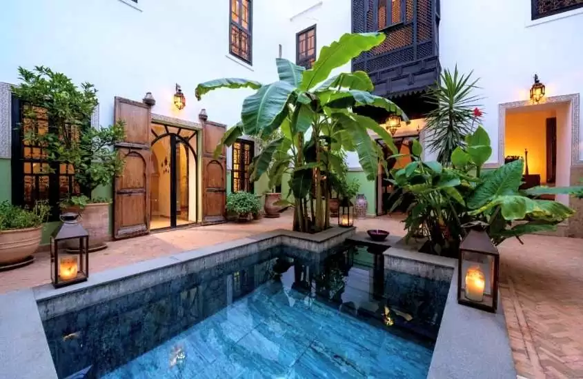 durante o dia, plantas ao redor de piscina ar livre de um riad onde se hospedar em marrakech