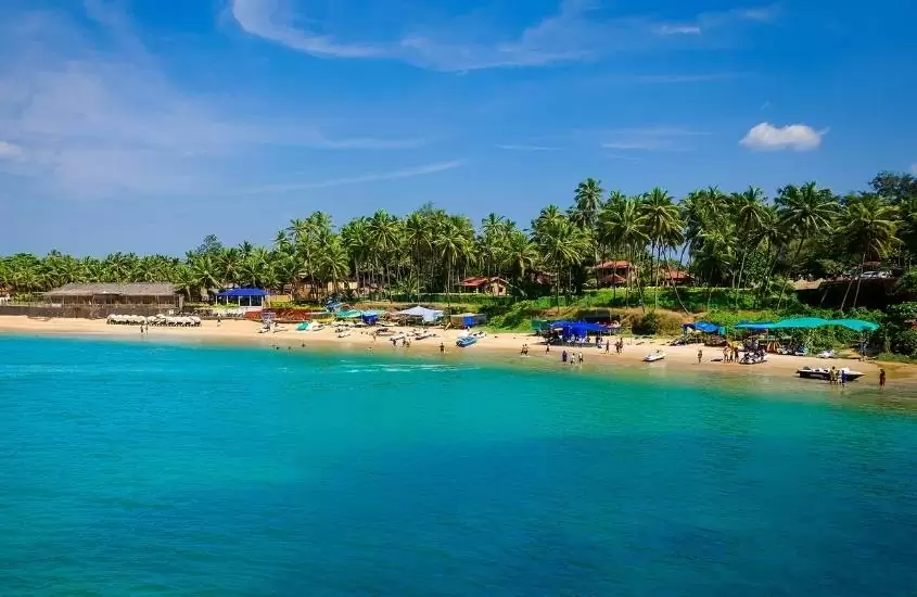 durante o dia, vista aérea de coqueiros em frente a mar, em uma cidade indiana com praia