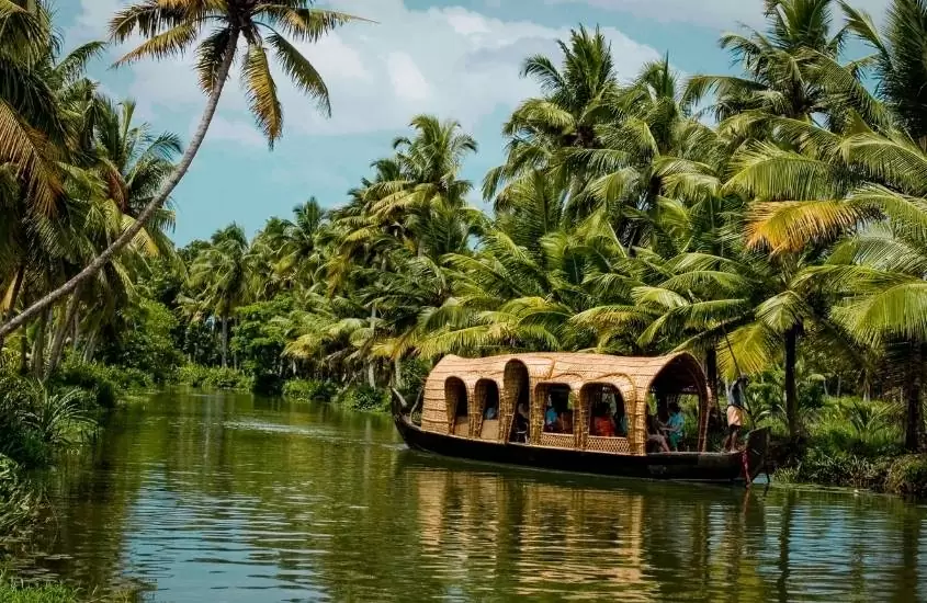 durante o dia, barco passando em rio rodeado de árvores em uma das cidades da índia