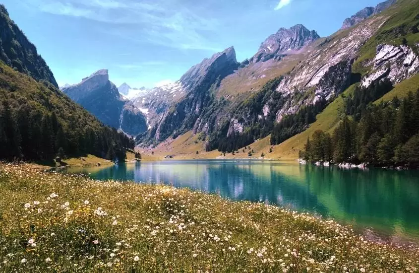 durante o dia, gramado florido em frente a lago azul, ao fundo, grandes montanhas em appenzell, cidade suíça