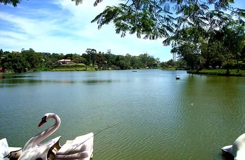 durante o dia, pedalinhos em formato de cisne em lago javary, atrativo de miguel pereira, cidade histórica rj