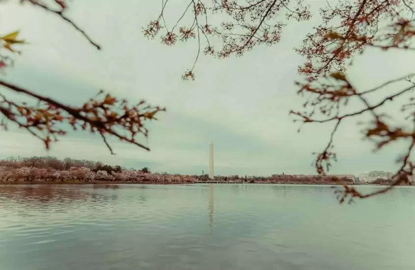 durante o dia, amplo espelho d'água em Washington DC