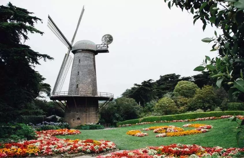 durante o dia, jardim florido em frente a moinho de vento, um dos pontos turísticos de são francisco