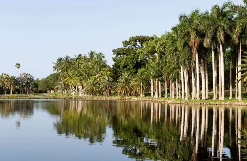 durante o dia, árvores ao redor de lago de coral gables, um lugar onde se hospedar em miami