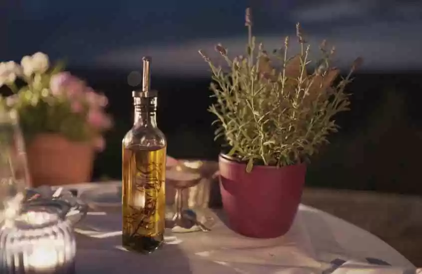 garrafa com azeite e vaso vermelho com planta em cima de mesa branca