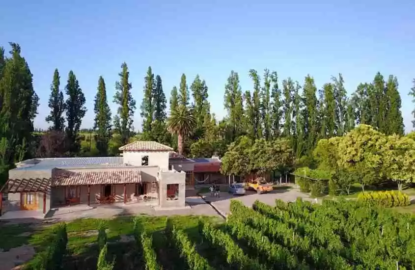 durante o dia, vista aérea de hotel vinícola em mendoza em frente a vinhedo