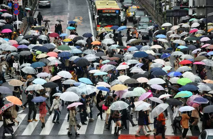 durante dia nublado, carros e pessoas segurando guarda-chuvas coloridos em avenida