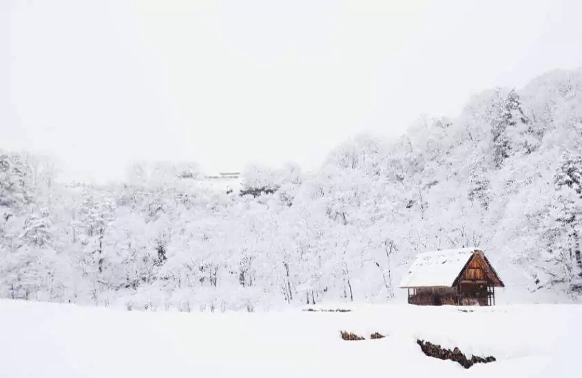 durante o dia, árvores e casa de madeira cobertas de neve durante o inverno, melhor época para viajar para o japão