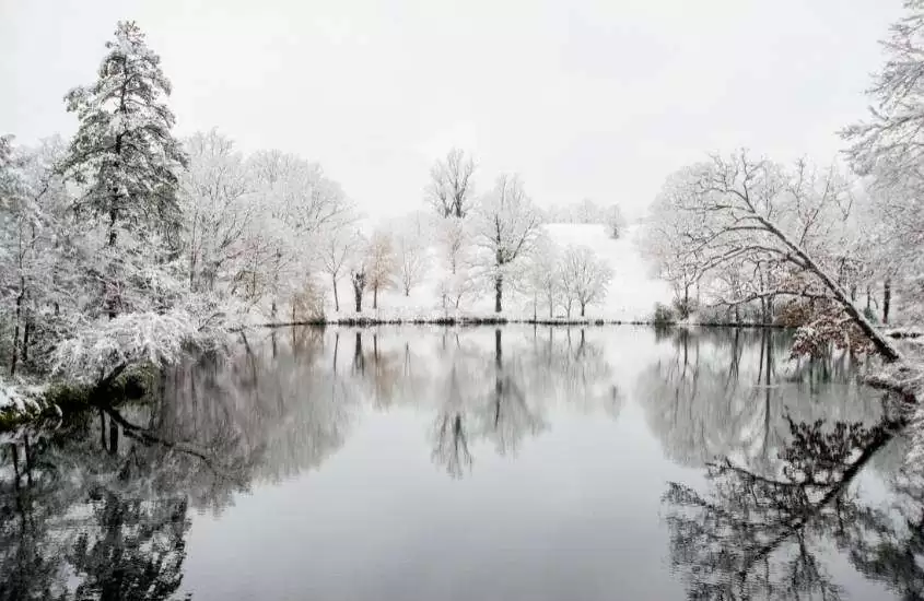 durante o dia, árvores cobertas de neve ao redor de lago