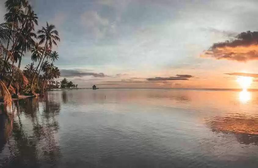 durante entardecer, árvores ao redor de mar em uma das melhores ilhas da polinésia francesa