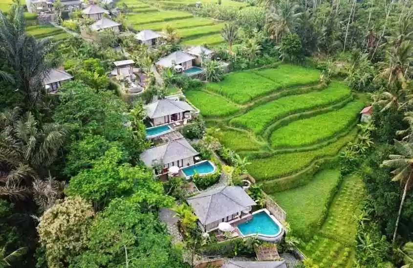 durante o dia, vista aérea de diversos bungalôs com piscina privativa, cercados por árvores, em frente a campos de arroz