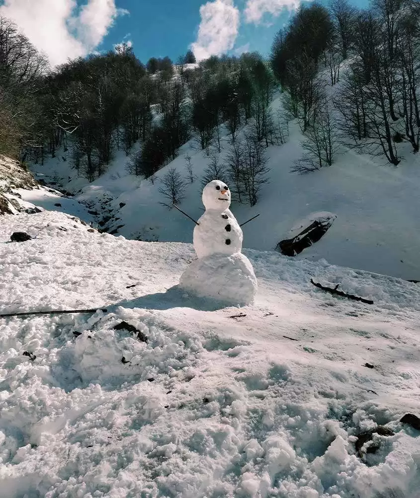 Durante o dia, um boneco de neve, com braços de galho e olhos de pedra, em montanha coberta de neve em bariloche no inverno