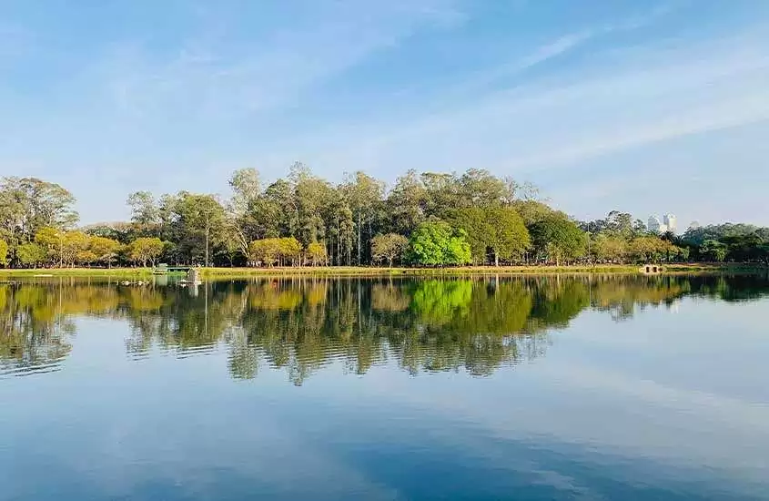 em dia de sol, vista panorâmica de árvores ao redor de lago em São Paulo.