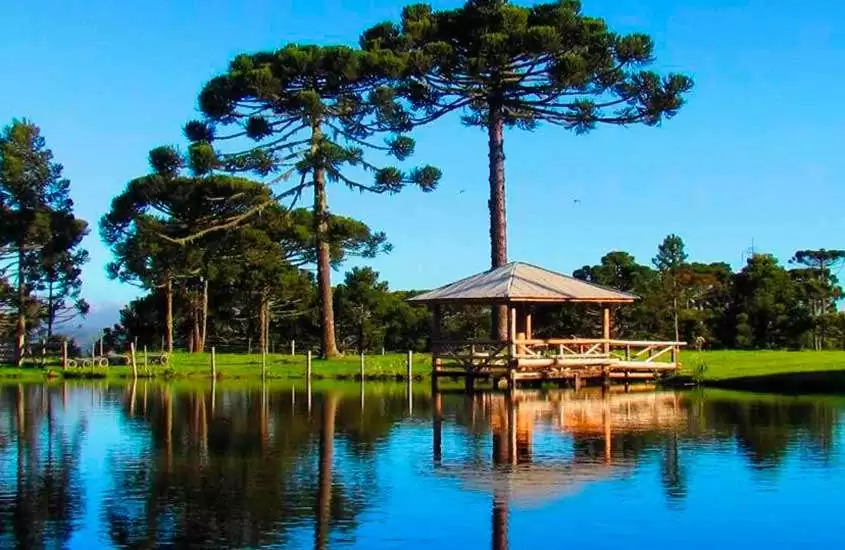 Em dia de sol, construção de madeira no meio de lago rodeado por árvores e área gramada
