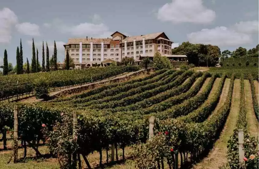 Em um dia ensolarado, hotel fazenda com plantação de uvas e bastante área verde ao redor