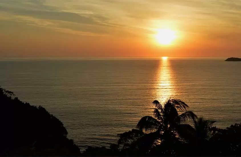 Durante o por do sol, visão aérea da praia de Ubatuba, um dos lugares para onde viajar no feriado de corpus christi com várias árvores em volta