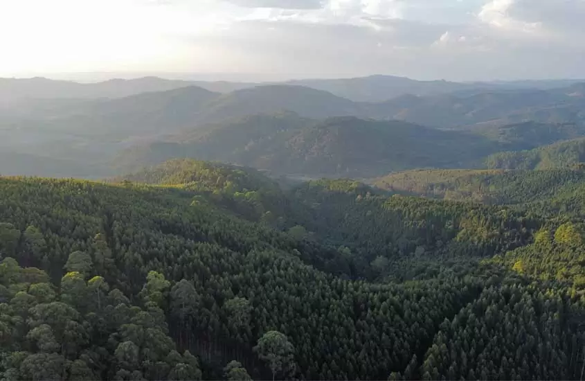 Em um dia de sol, paisagem aérea de Monte verde, um dos destino para onde viajar no feriado de corpus christi, com árvores cobrindo as montanhas