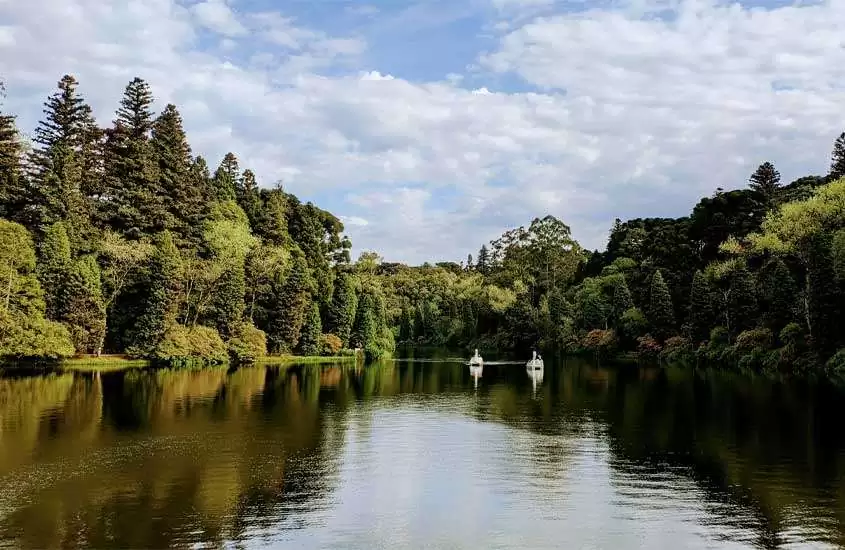 Em um dia de sol, lago negro de gramado, um dos lugares para passar o réveillon, com pedalinhos e árvores ao redor