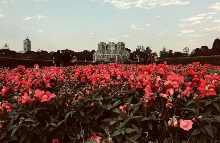 Em um dia de sol com nuvens, jardim botanico de cidades para passar o réveillon