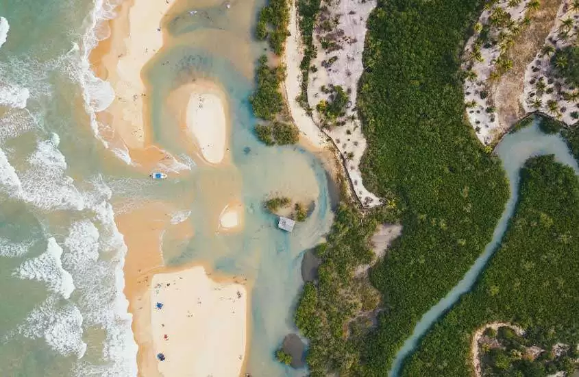 Vista aérea de praia com mar de um lado e árvores do outro
